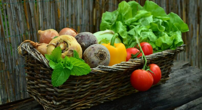 Panier de légumes bio