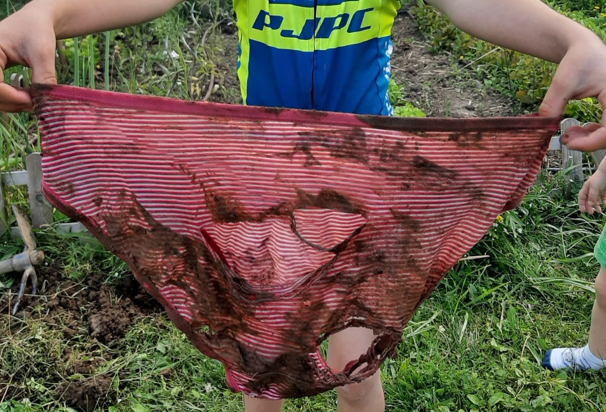 La culotte plantée près du potager.