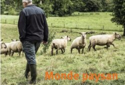 Dans son hamac