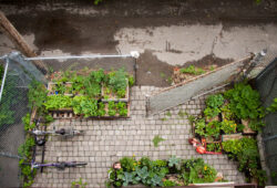 Jardins partagés