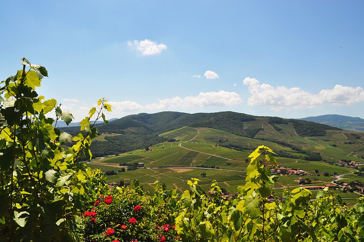 Géoparc du Beaujolais