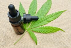 Cannabis