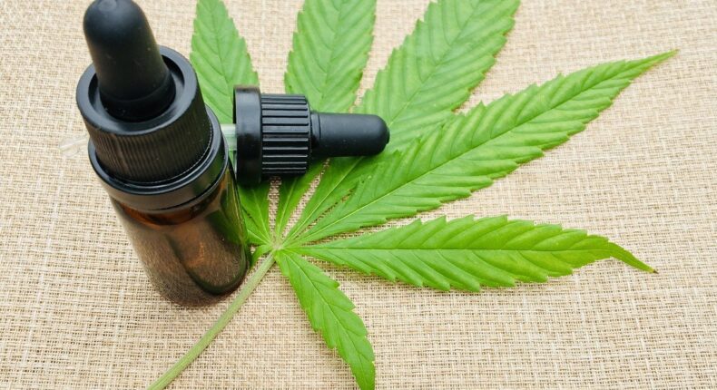 Les cannabis pourra être prescrit sous forme d'huile.
