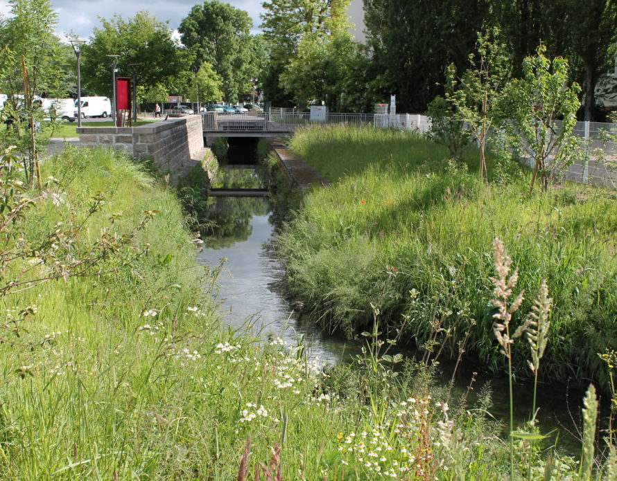 Le Petit Rosne rouvert, à Sarcelles.