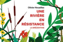 Lire
