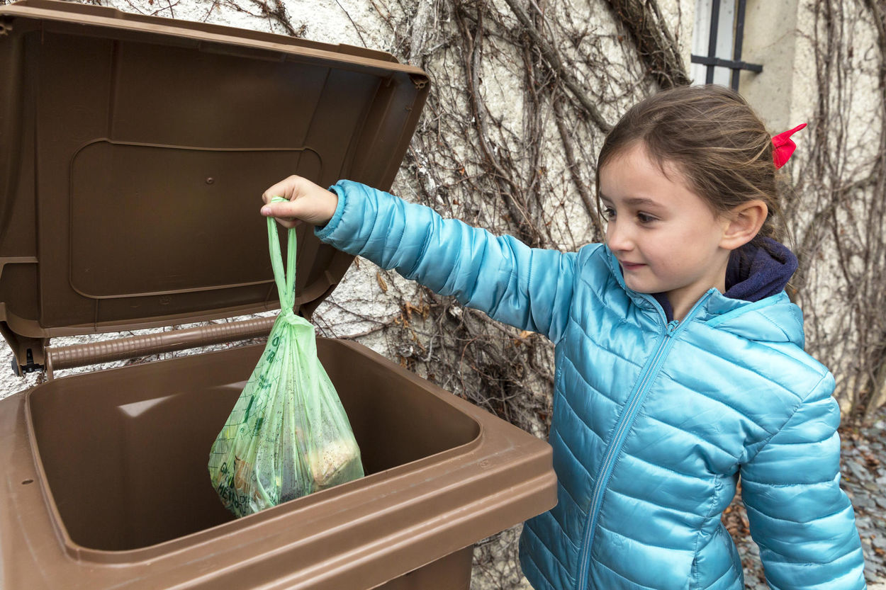 Collecte de déchets alimentaires.