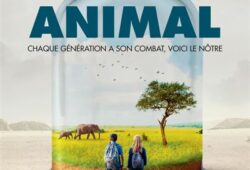 Animal