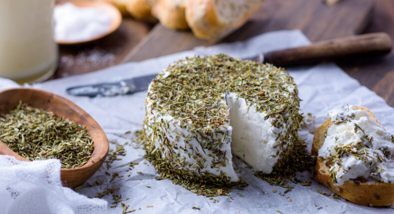 Fromage de chèvre maison - Mon Quotidien Autrement - ©E. Montuclard