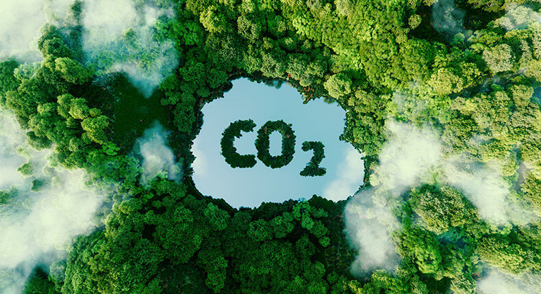 Comment réduire son impact carbone
