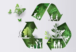 Eco-organisme