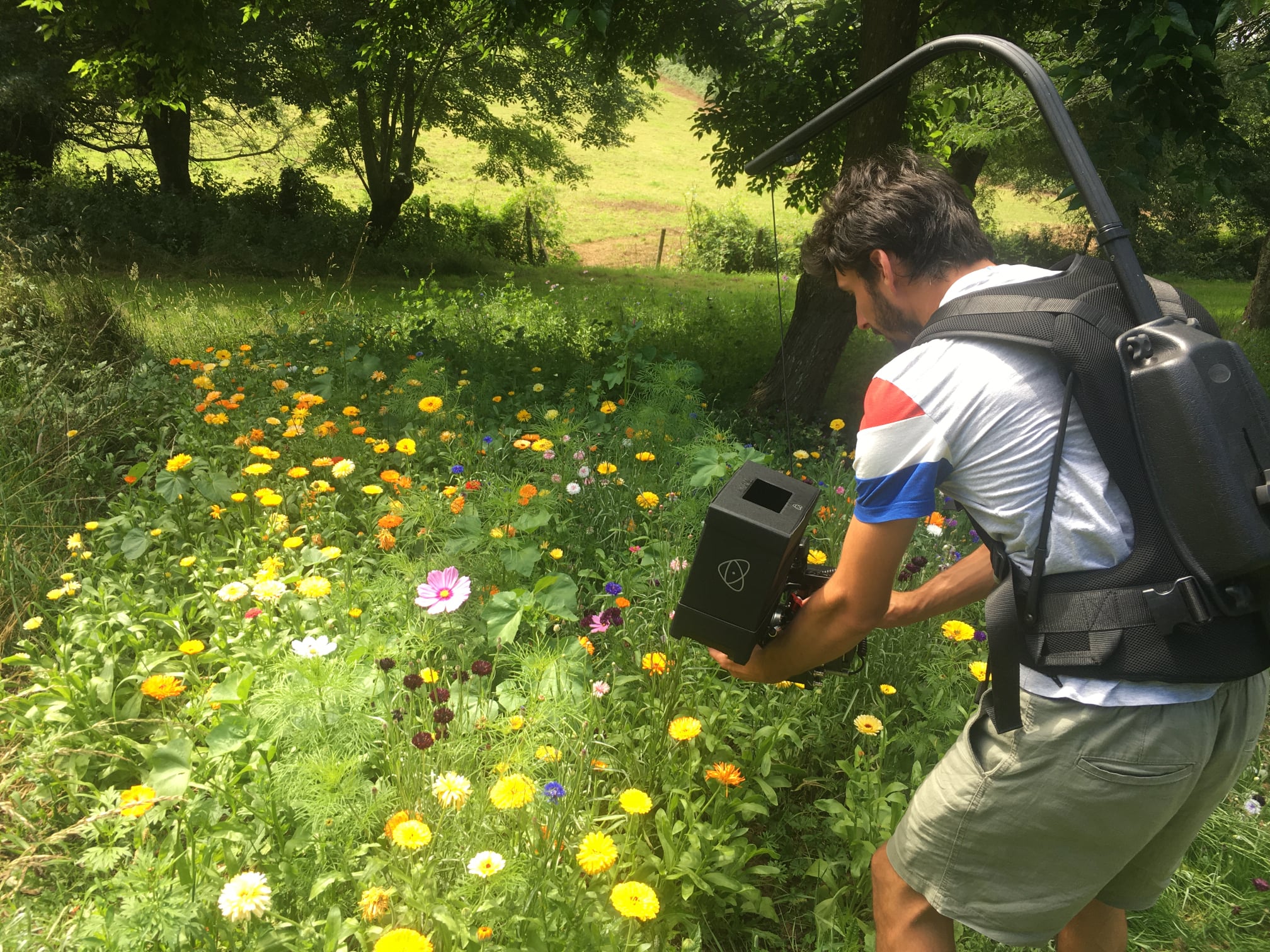 Tournage du Petit peuple du potager.