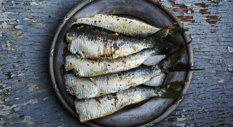 Des sardines. Crédit : Pixabay