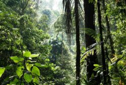 Biodiversité