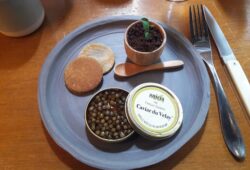 Gastronomique