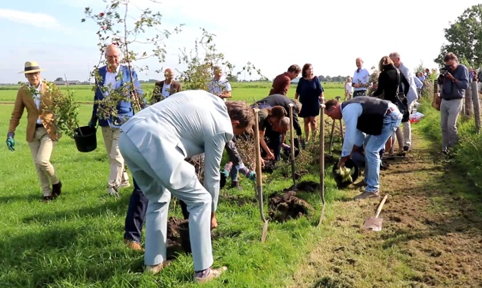 Des bénévoles plantent des haies. Crédit : Université de Leyde.