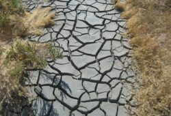 Pénurie d’eau