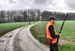 En colère