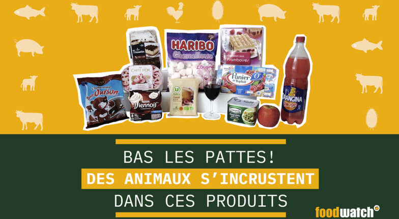 Presure, cochenille, gélatine, des animaux cachés s'incrustent dans ces produits © Foodwatch