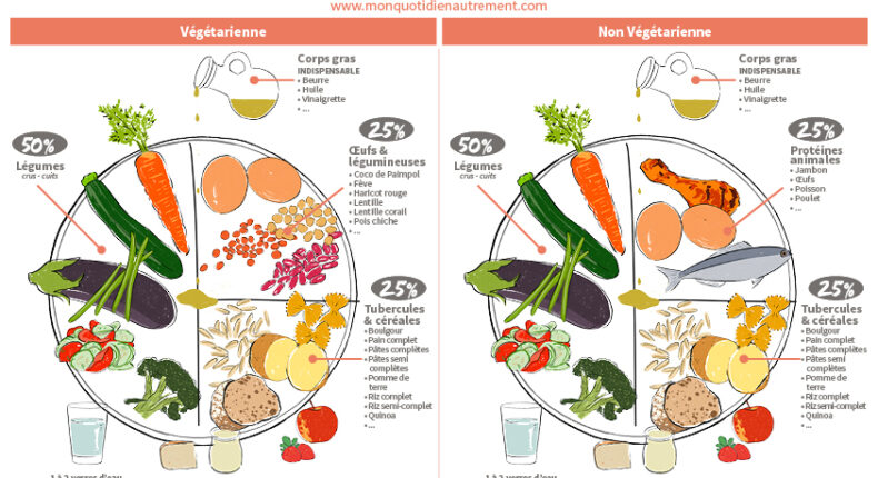 L'assiette idéale, bonne pour la santé et bonne pour la planète © Mon Quotidien Autrement