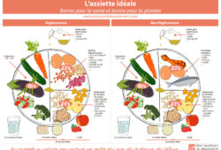 Assiette idéale