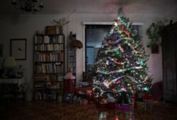 Sapins