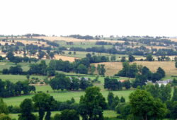 Haies bocagères