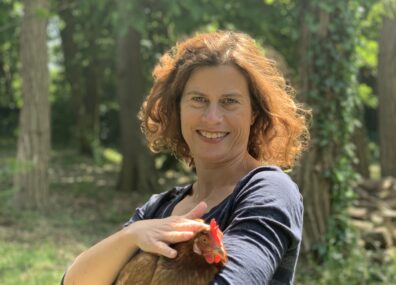 Des poules au boulot