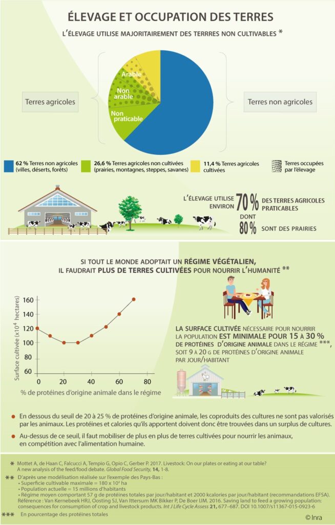 Élevage et occupation des terres © Inrae