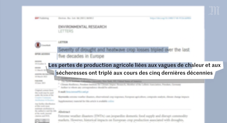 Le manque d'eau dans l'agriculture a de graves conséquences sur les rendements © Capture d'écran vidéo Le Monde