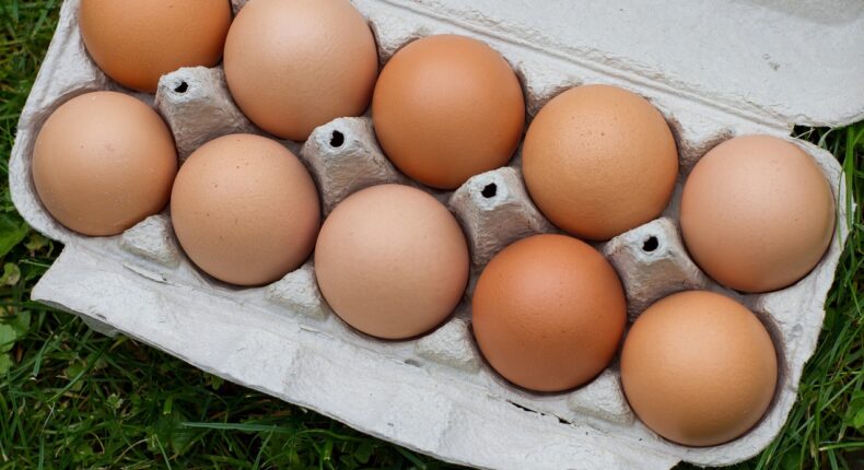 La consommation d'œufs bio en baisse © Whitesession - Pixabay