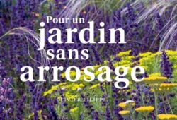 Sans arrosage