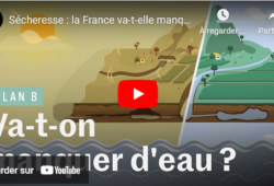 Merveilleuse vidéo