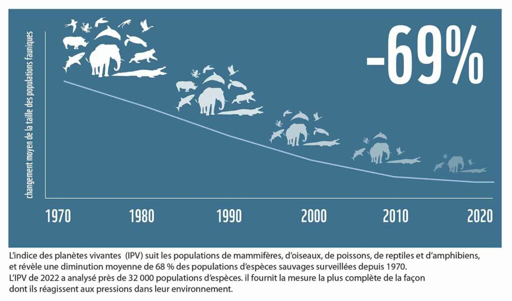 Changement moyen de la taille des populations de vertébrés © WWF