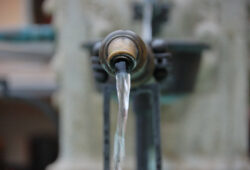 Dans notre eau