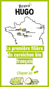 La première filière de cornichons bio français