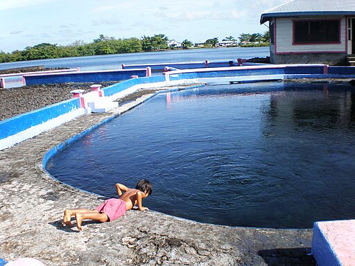 Le "plan eau" du gouvernement pour préserver cette ressource © Teinesavaii - Wikimedia Commons