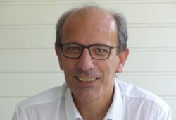 La dengue
