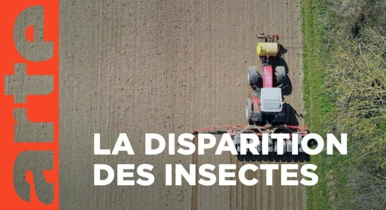 Insecticide - Comment l'agrochimie a tué les insectes, un documentaire d'Arte © Arte