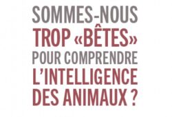 Trop bêtes