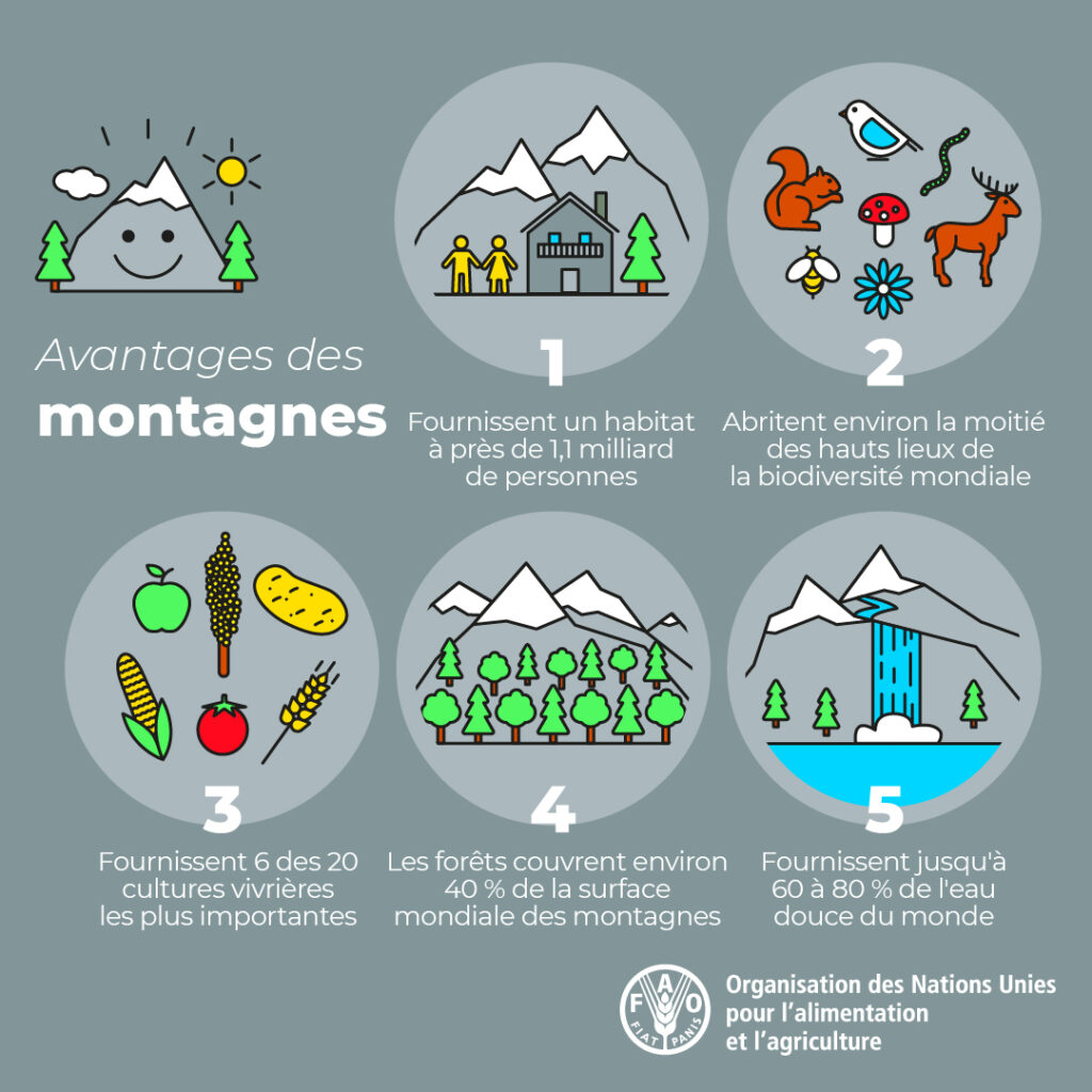 Les bénéfices de la montagne © FAO