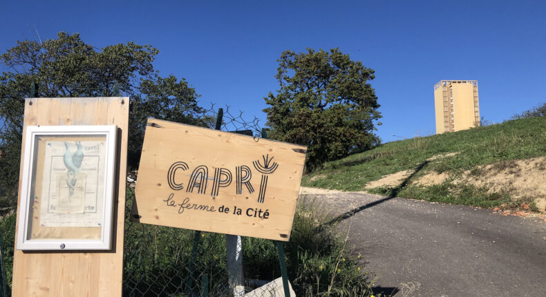 La ferme Capri, modèle d'agriculture urbaine à Marseille © Mon Quotidien Autrement