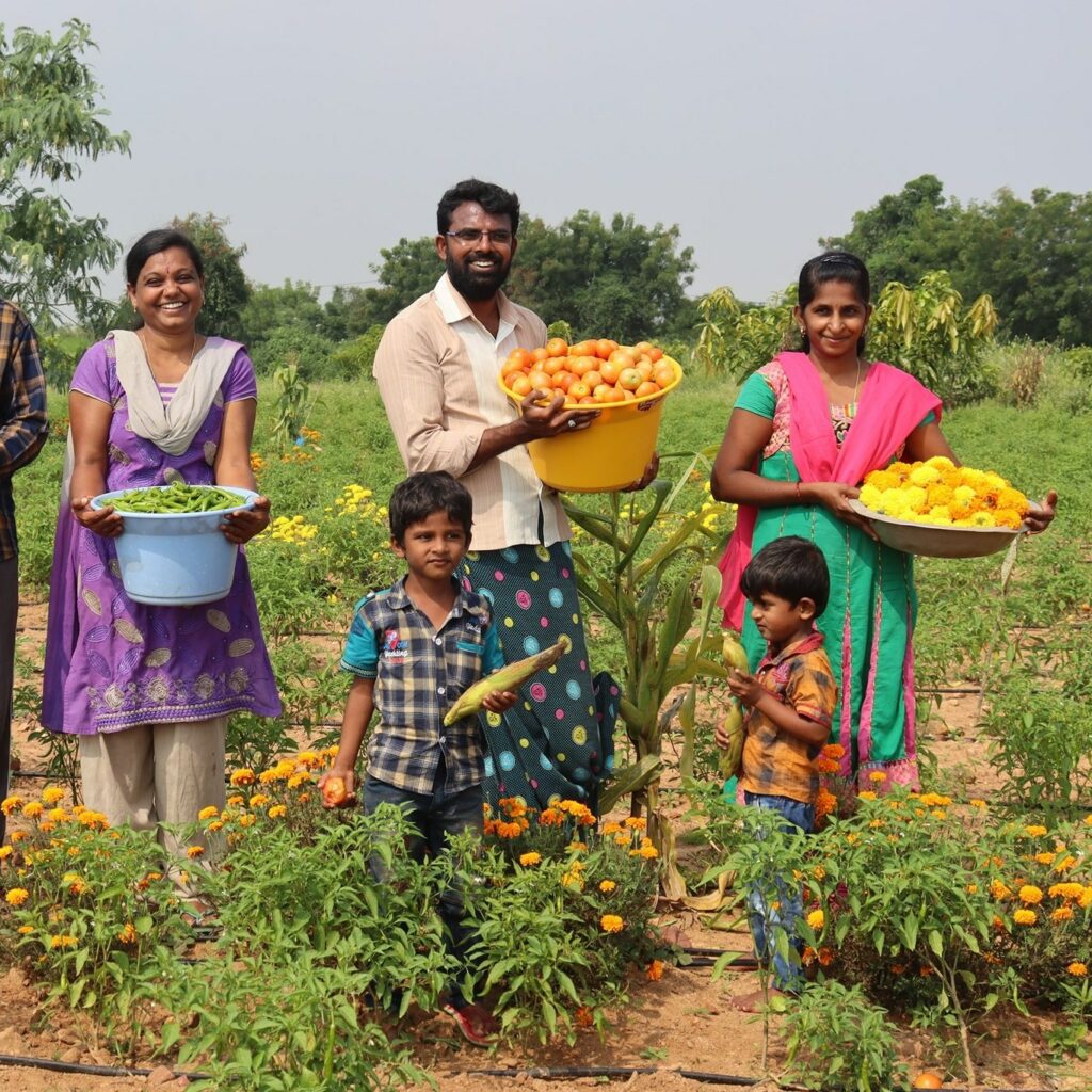 En Inde, une agriculture écologique et rentable - crédit Andhra Pradesh Community Facebook
