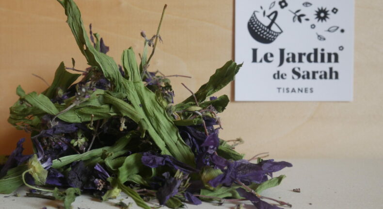 Une tisane pour soigner les maux de gorge. Crédit : le jardin de Sarah