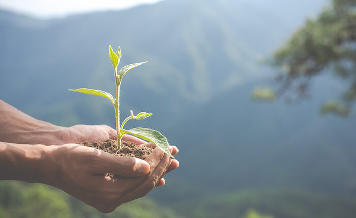 Pourquoi l'écologie n'est pas responsable de la crise agricole © Freepik