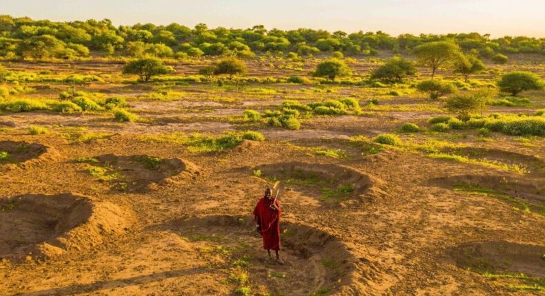 Des bunds en Tanzanie. Crédit : Just dig it