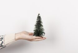 Sapin