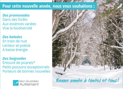Bonne année hyper protéinée ! 