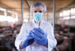 Expérimentation animale